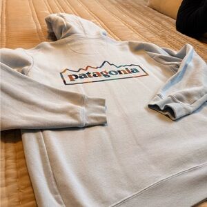 Patagonia Sky Blue Hoodie